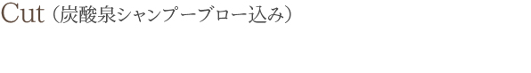 Cut(炭酸泉シャンプーブロー込み)