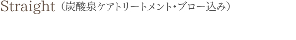 Straight(炭酸泉ケアトリートメント・ブロー込み)